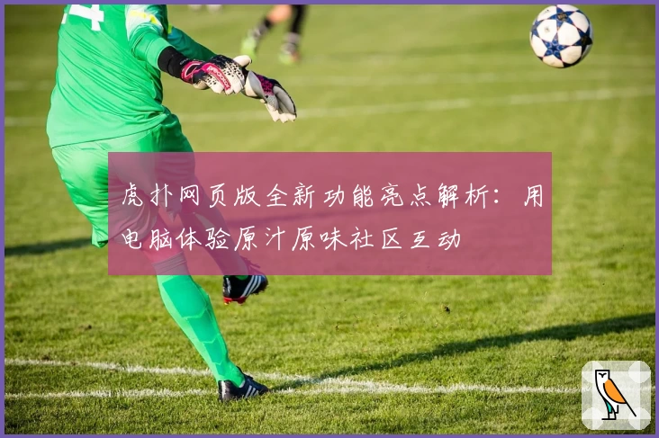 虎扑网页版全新功能亮点解析：用电脑体验原汁原味社区互动