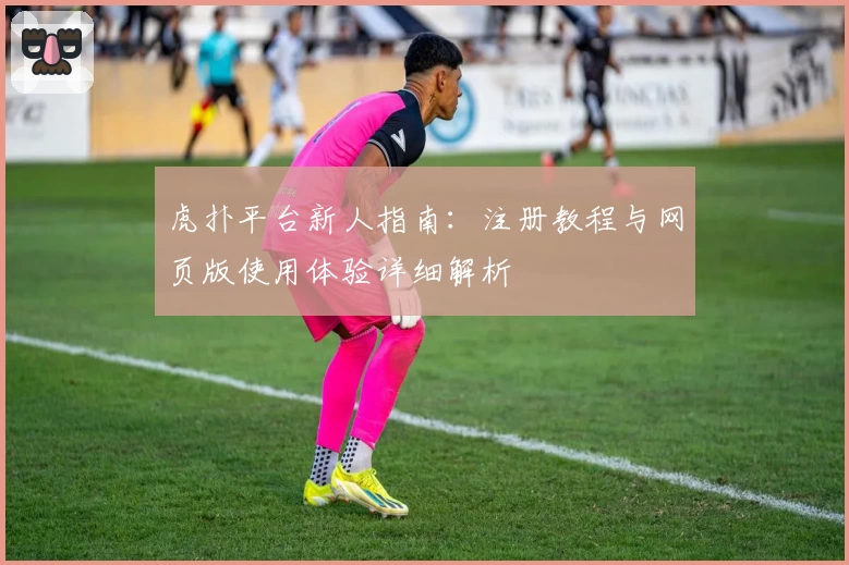 虎扑平台新人指南：注册教程与网页版使用体验详细解析