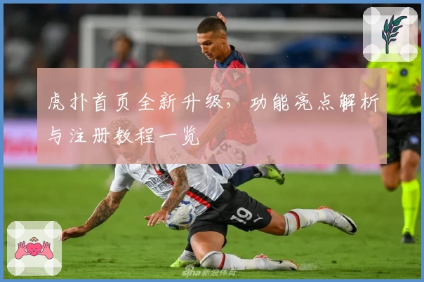 虎扑首页全新升级，功能亮点解析与注册教程一览