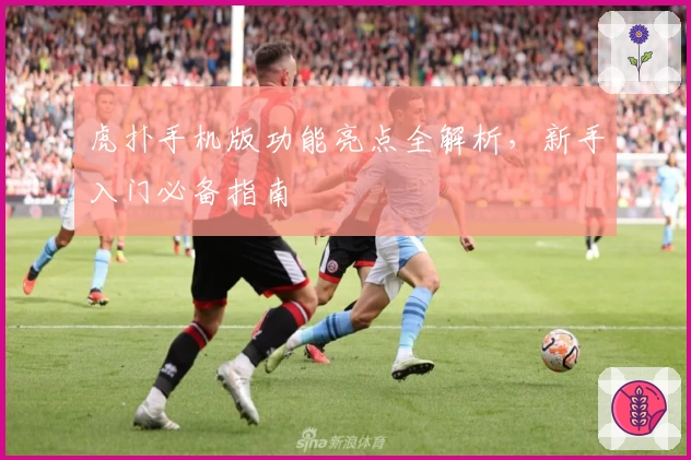 虎扑手机版功能亮点全解析，新手入门必备指南