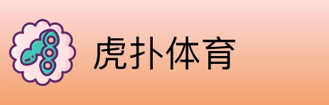 虎扑体育 Logo